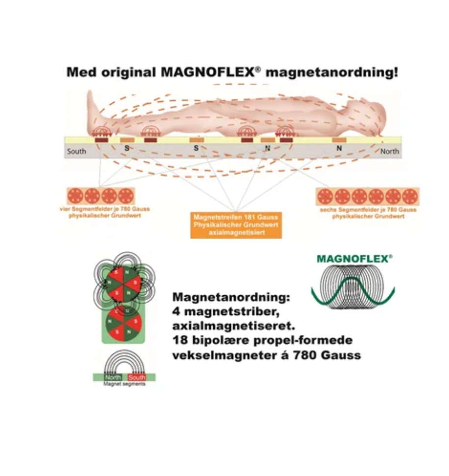 Magnocare by MAGNOFLEX® magnet-topmadras, 1 person 120x200
